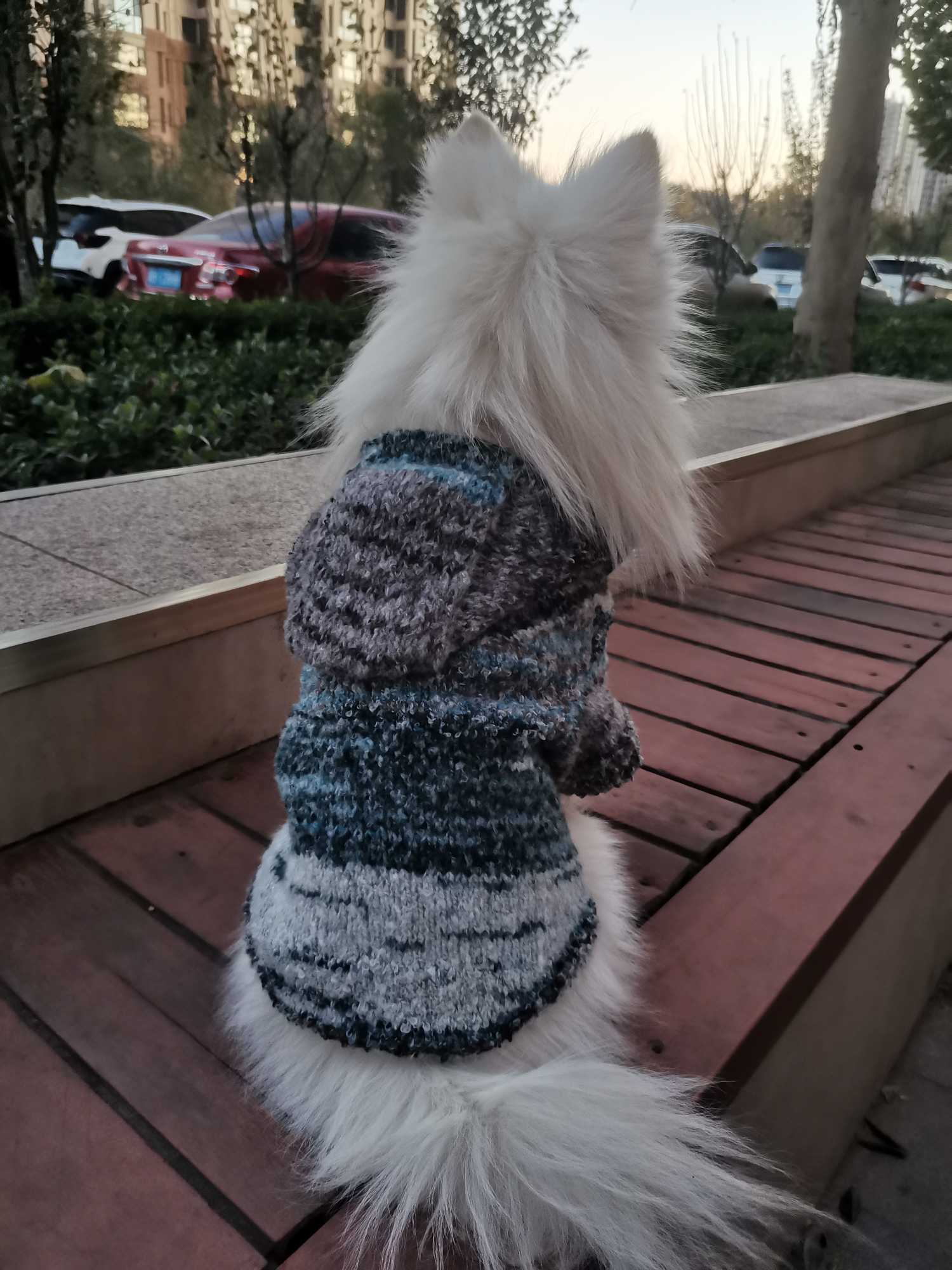 给你的爱犬编织一件独一无二的毛衣吧！附高清图解