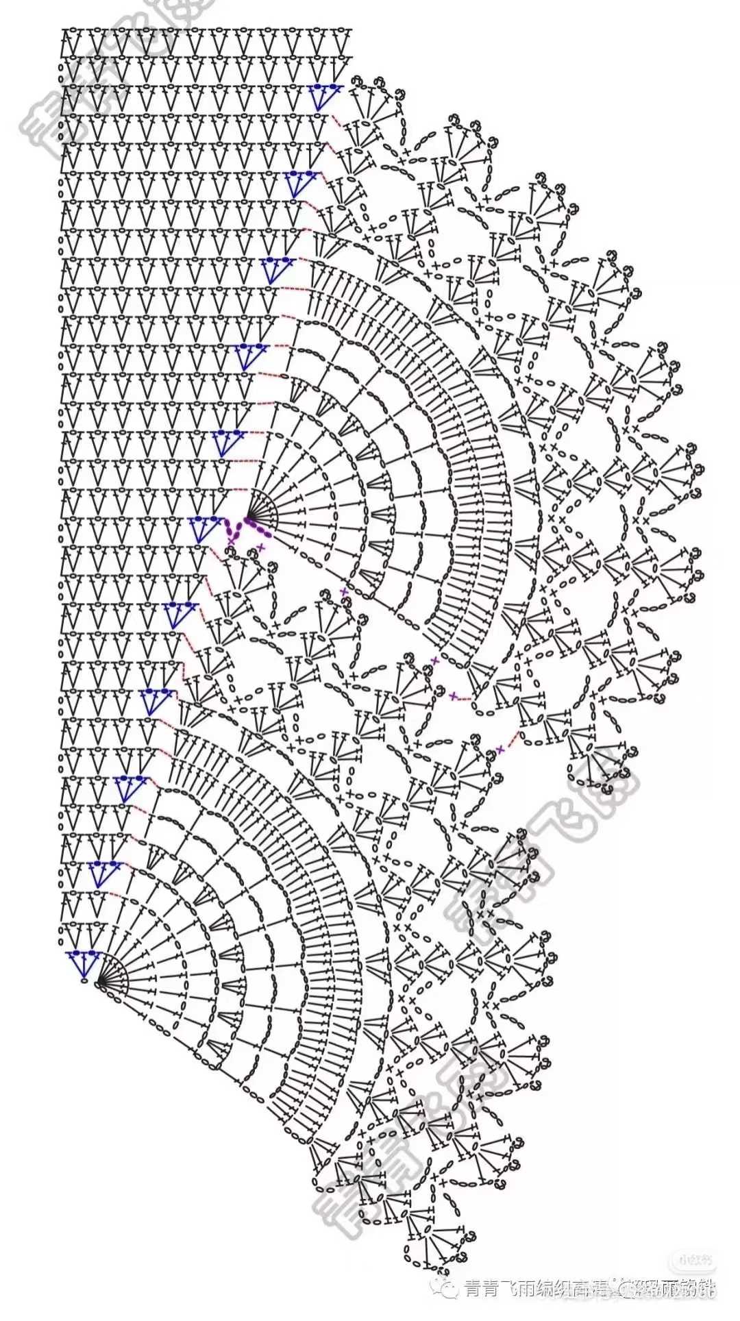 1765240499824782_488.jpg