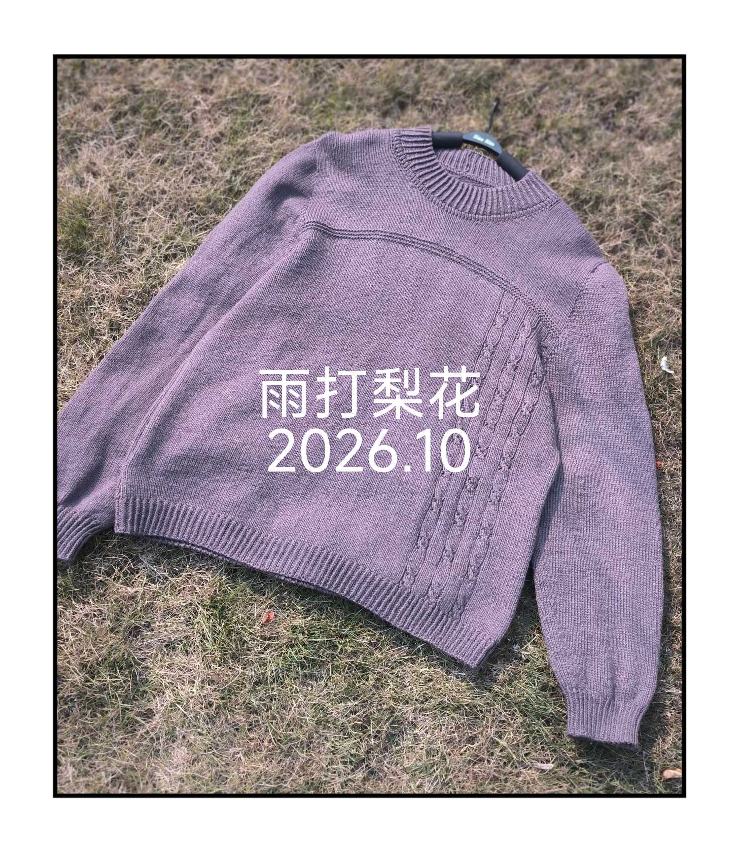 圆领男装毛衣