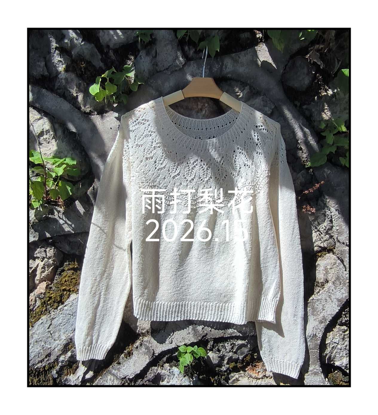 女士棒针圆肩毛衣